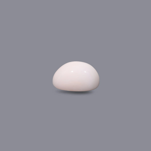 White Coral - 7.4 Carat