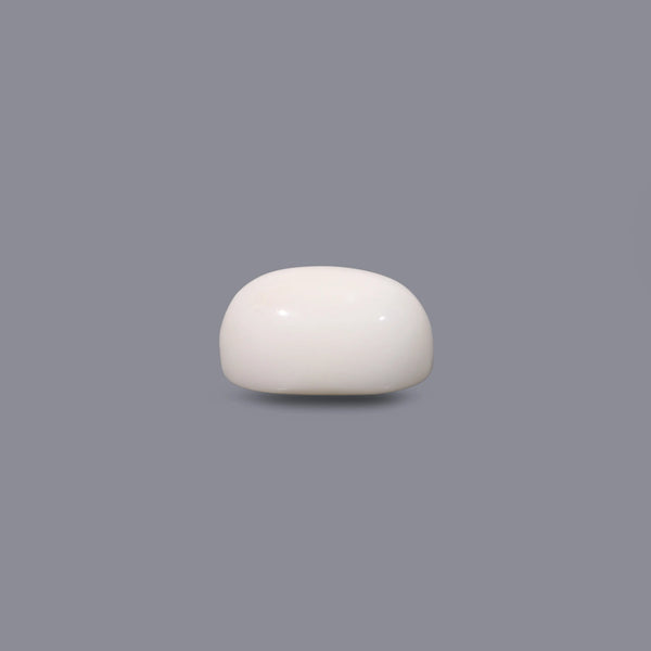 White Coral - 10.15 Carat