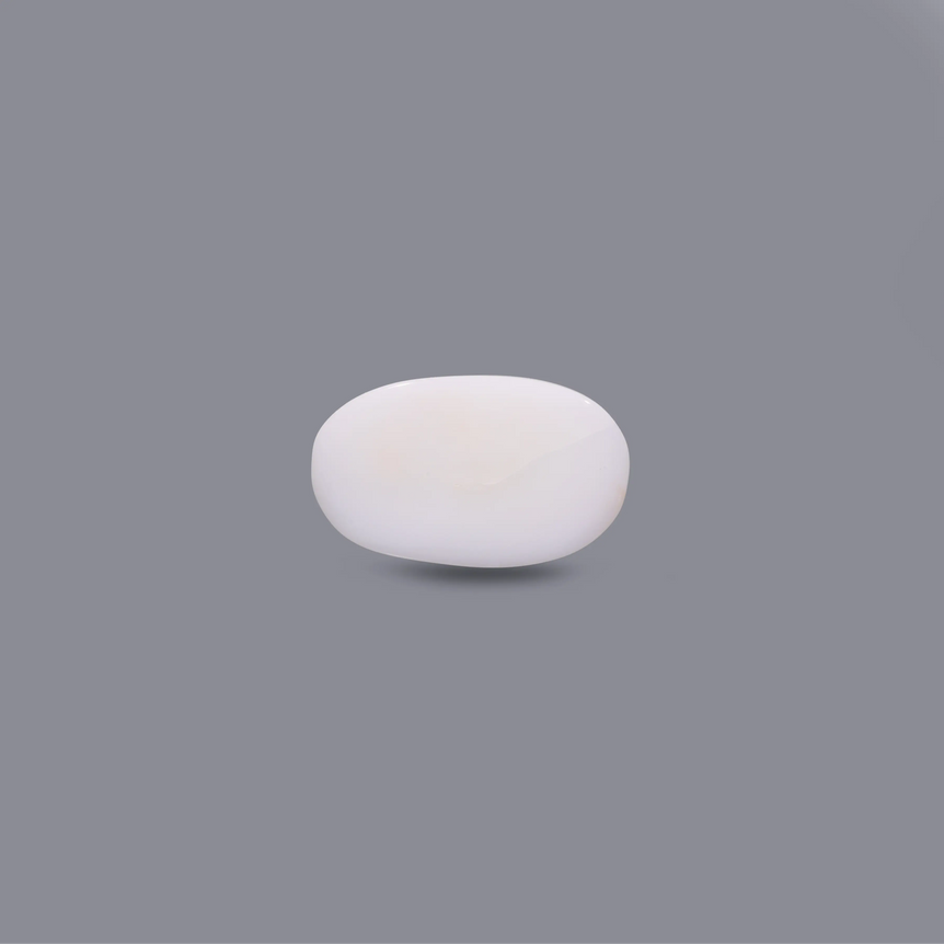 White Coral - 8.25 Carat