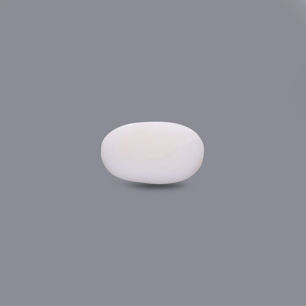 White Coral - 8.25 Carat