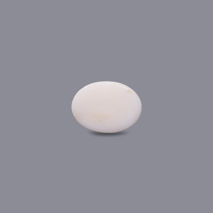 White Coral - 10.7 Carat