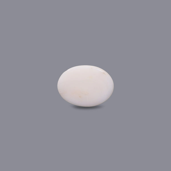 White Coral - 10.7 Carat