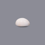 White Coral - 10.7 Carat