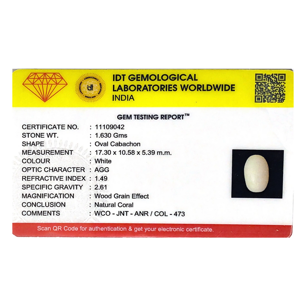 White Coral - 8.35 Carat