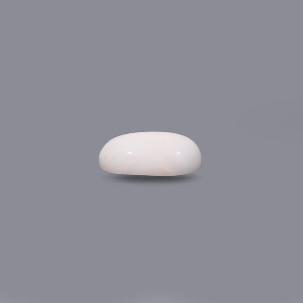 White Coral - 8.15 Carat