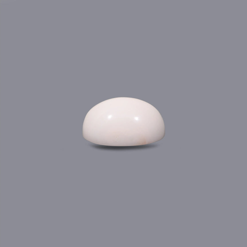 White Coral - 9.2 Carat