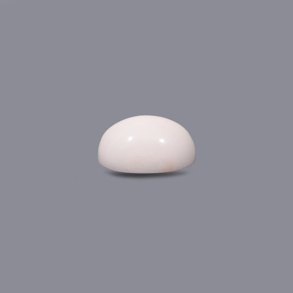 White Coral - 9.2 Carat