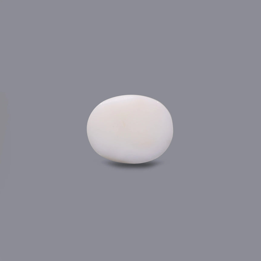 White Coral - 8 Carat