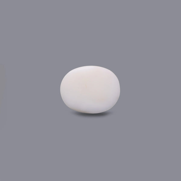 White Coral - 8 Carat