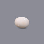 White Coral - 10.25 Carat - Pramogh