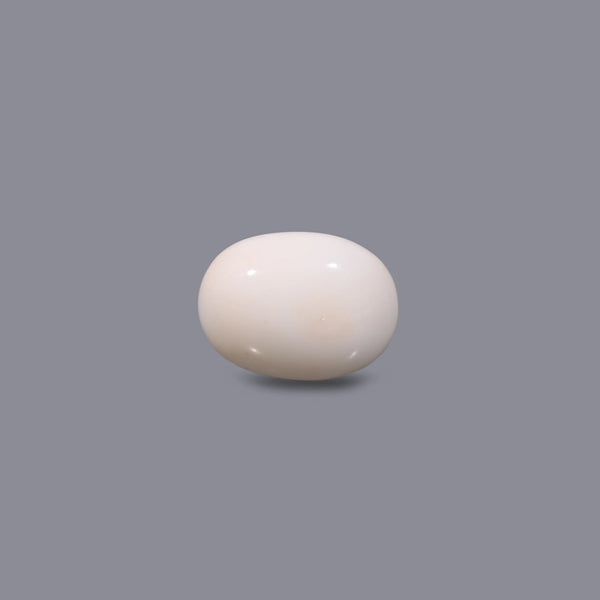 White Coral - 10.25 Carat - Pramogh