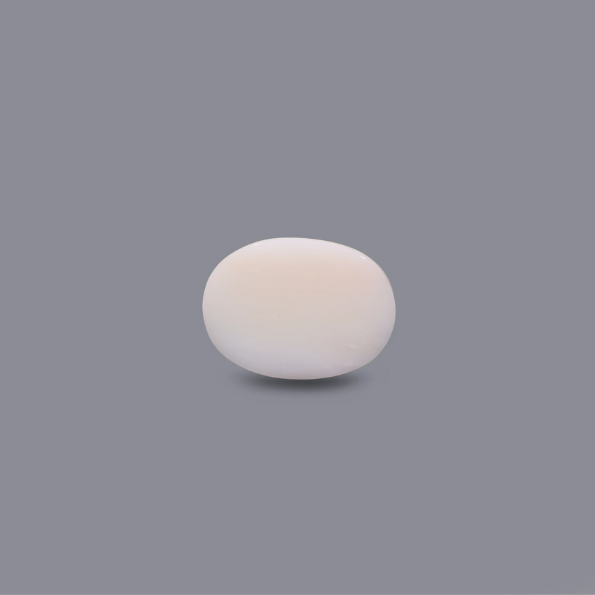 White Coral - 10.25 Carat