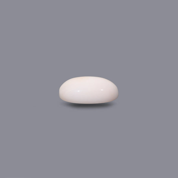White Coral - 10.25 Carat