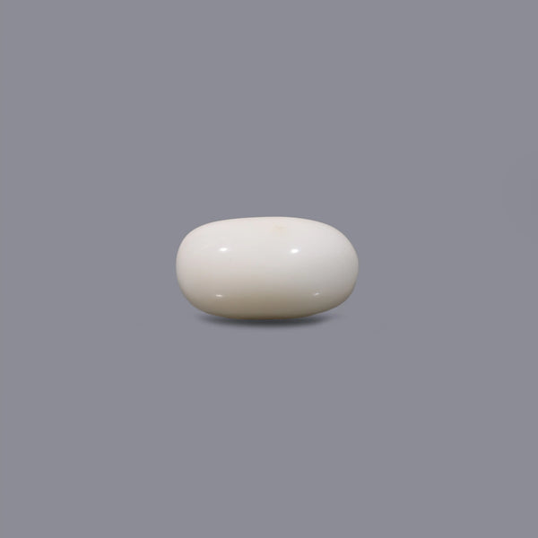 White Coral - 8.7 Carat - Pramogh