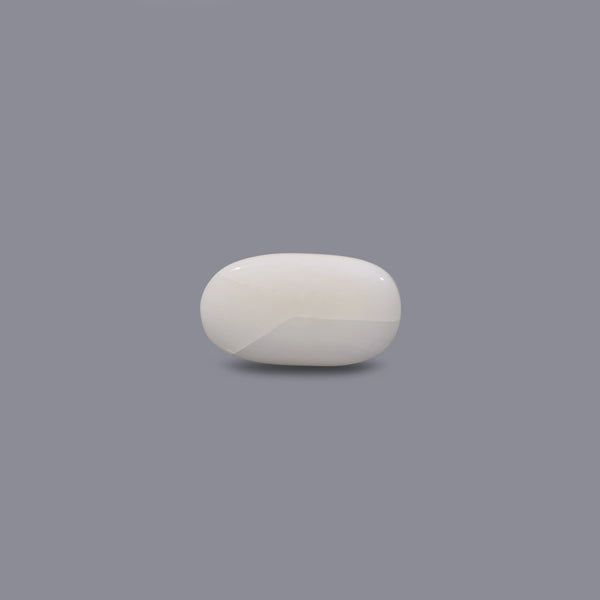White Coral - 8.7 Carat