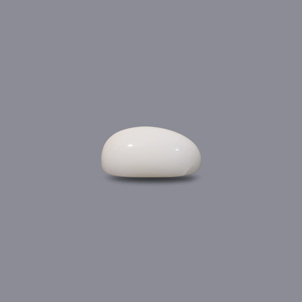White Coral - 8.7 Carat