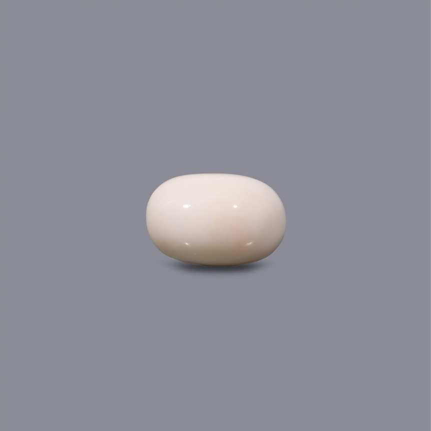 White Coral - 7.65 Carat - Pramogh
