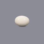 White Coral - 7.2 Carat - Pramogh