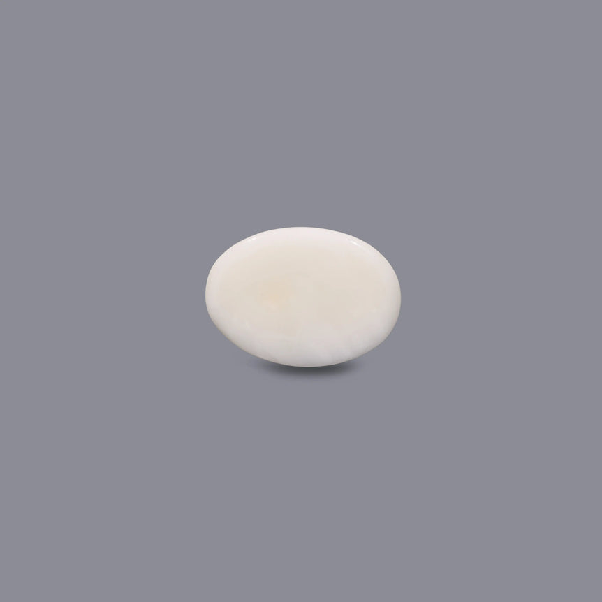 White Coral - 7.2 Carat