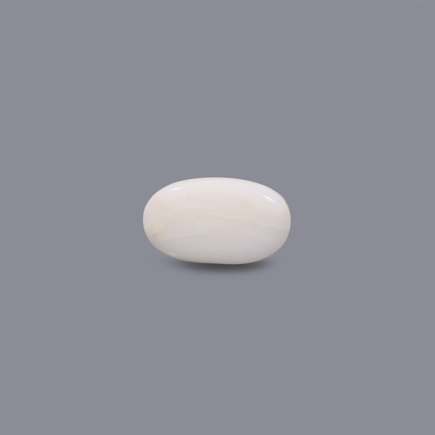White Coral - 6.55 Carat