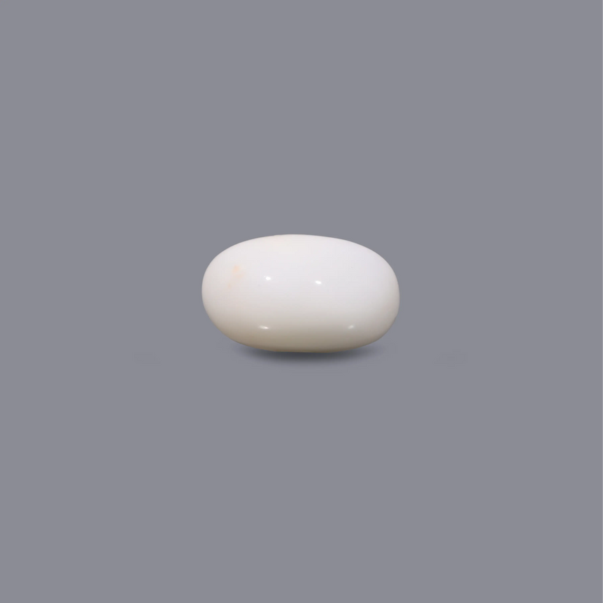 White Coral - 4.8 Carat - Pramogh
