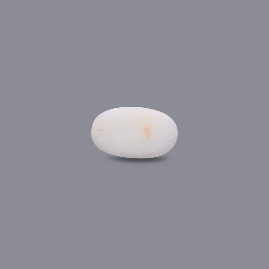 White Coral - 4.8 Carat