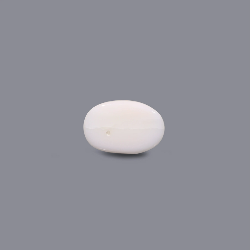 White Coral - 6.75 Carat