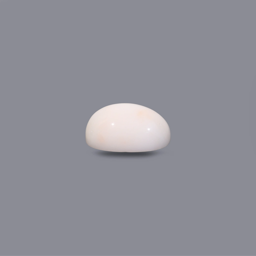 White Coral - 7.5 Carat