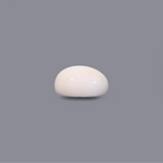 White Coral - 7.5 Carat