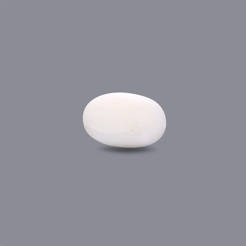 White Coral - 7.1 Carat