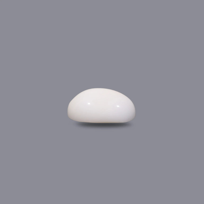 White Coral - 7.1 Carat