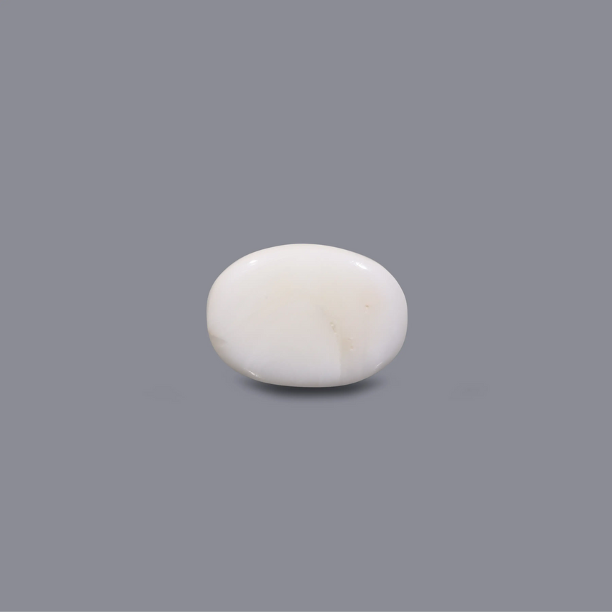 White Coral - 6 Carat