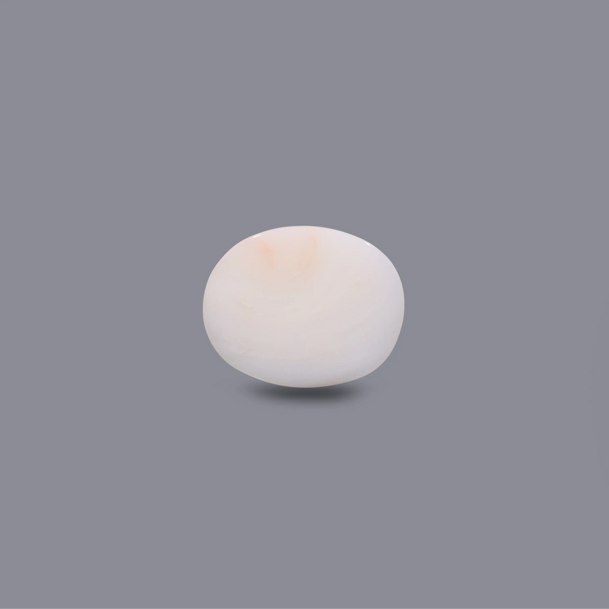 White Coral - 7.3 Carat