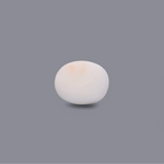 White Coral - 7.3 Carat