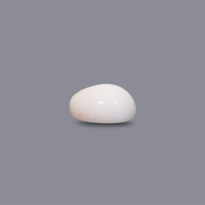 White Coral - 7.3 Carat
