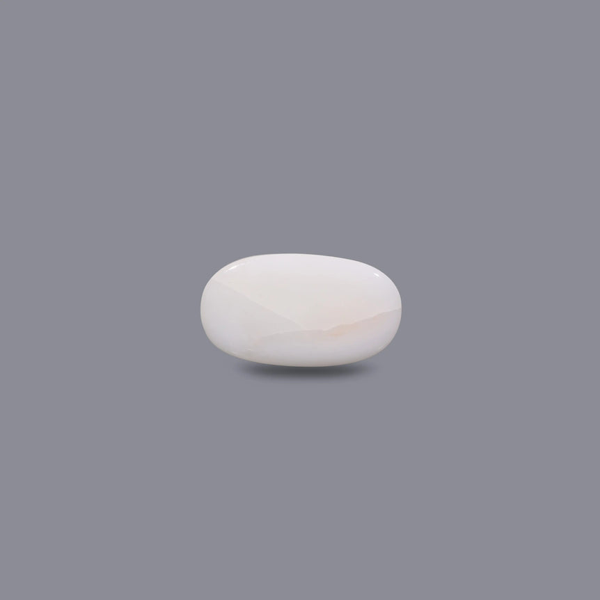 White Coral - 6.8 Carat
