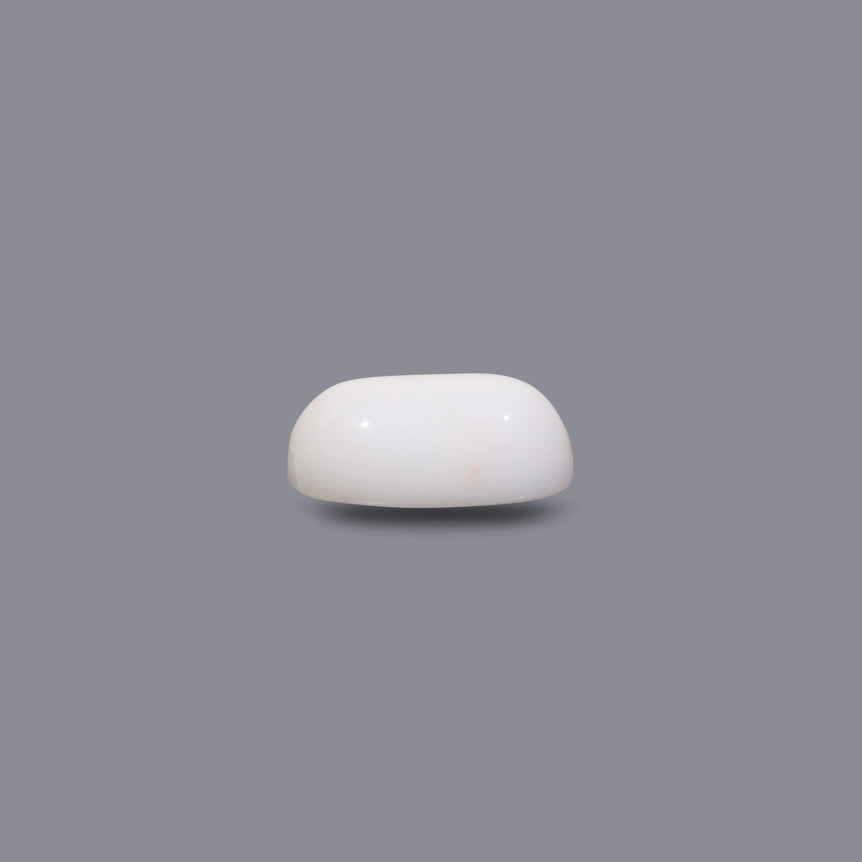 White Coral - 6.8 Carat
