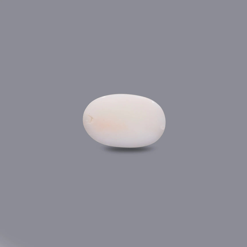 White Coral - 7.1 Carat
