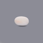 White Coral - 7.1 Carat