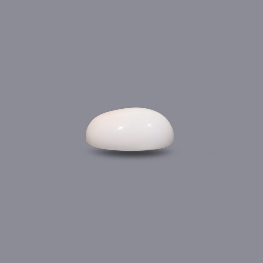White Coral - 7.1 Carat