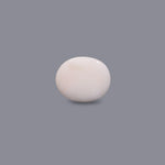 White Coral - 4.7 Carat