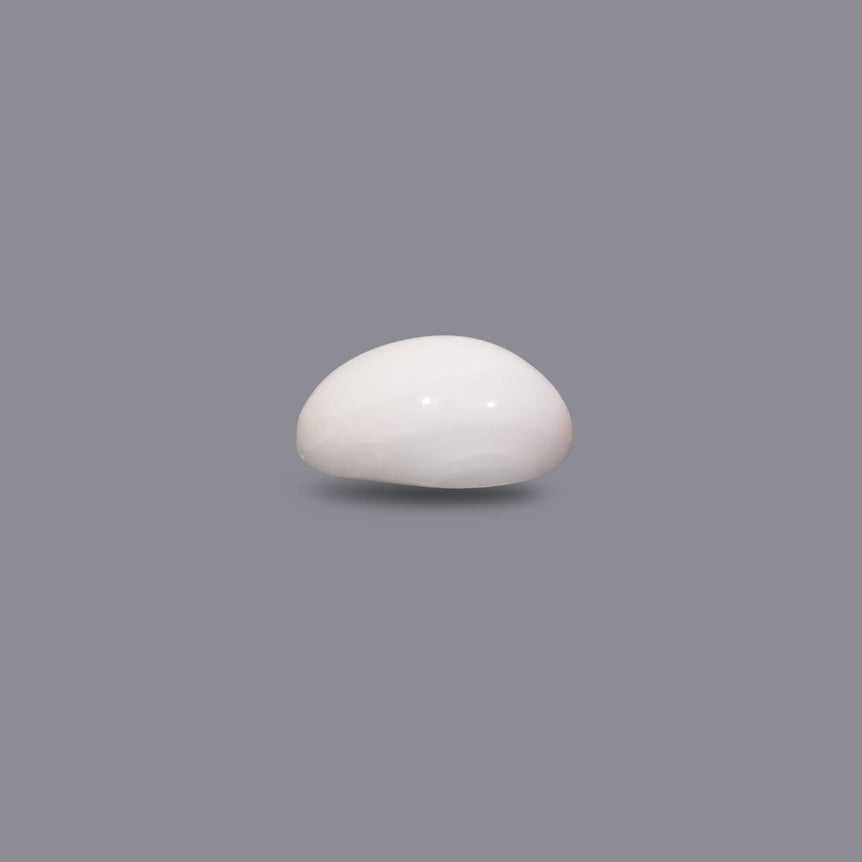 White Coral - 6.1 Carat