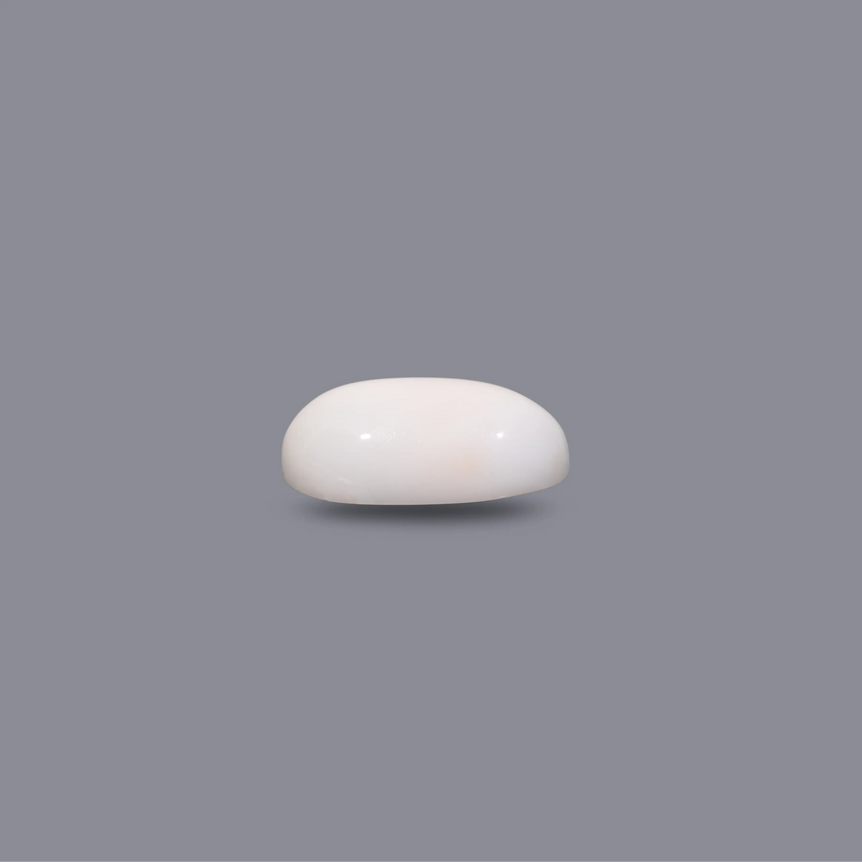 White Coral - 4.85 Carat