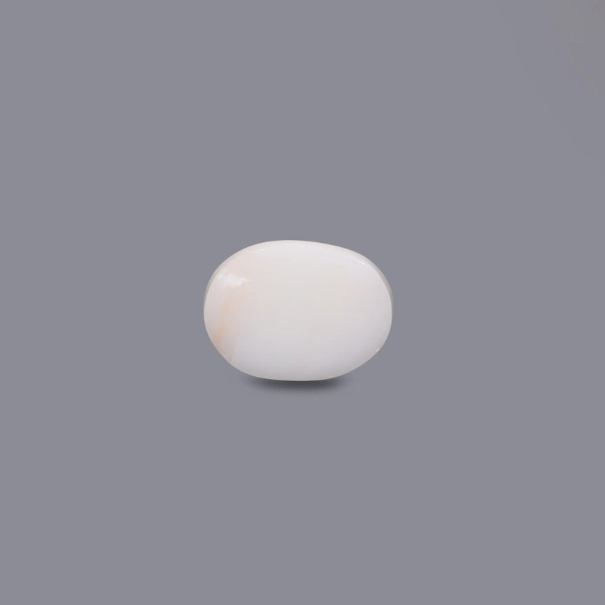 White Coral - 5.3 Carat