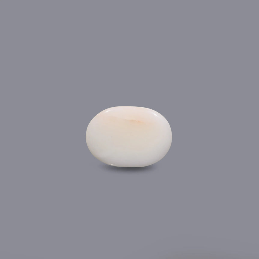 White Coral - 5.5 Carat