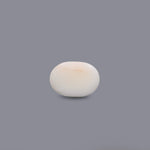 White Coral - 5.5 Carat