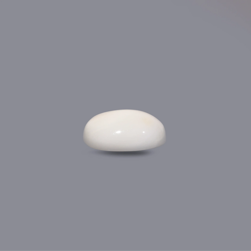 White Coral - 5.5 Carat