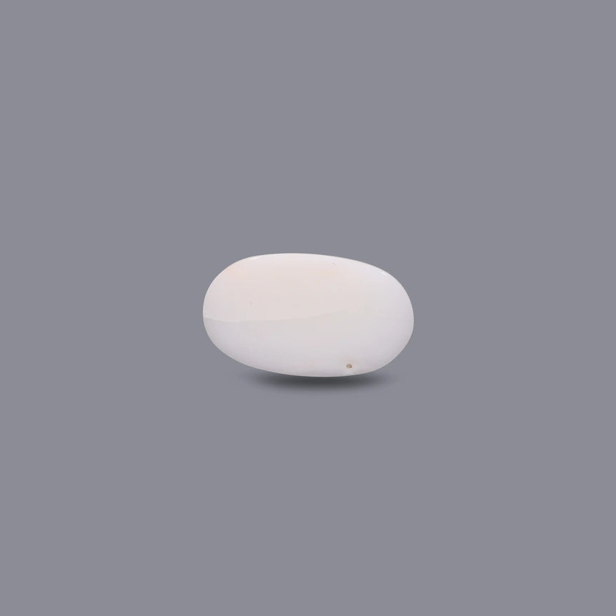 White Coral - 7.05 Carat