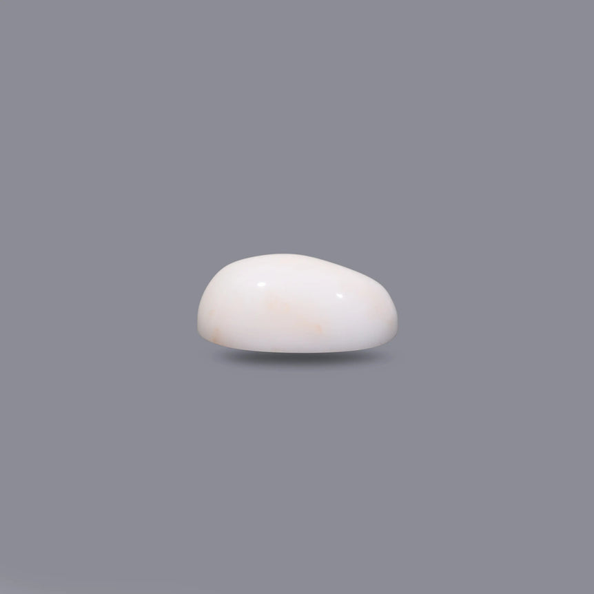 White Coral - 7.05 Carat