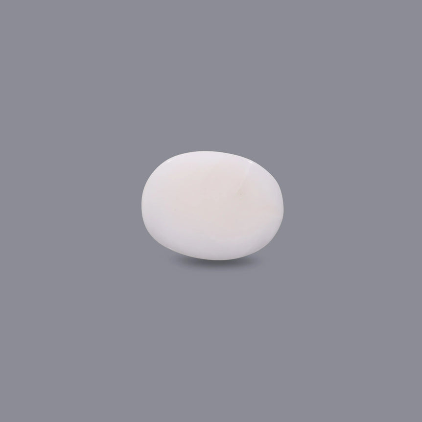 White Coral - 6.3 Carat